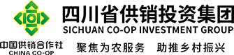 四川省供銷投資集團(tuán)有限公司