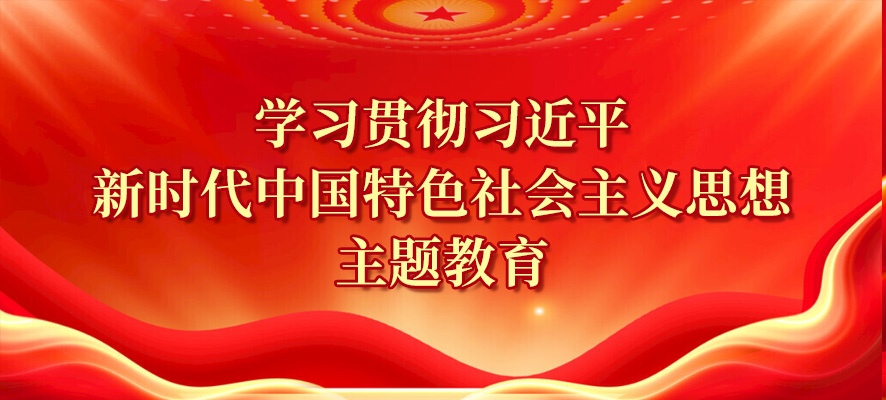 學(xué)習(xí)貫徹習(xí)近平新時(shí)代中國(guó)特色社會(huì)主義思想主題教育
