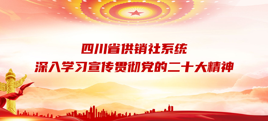 系統(tǒng)深入學(xué)習(xí)宣傳貫徹黨的二十大精神