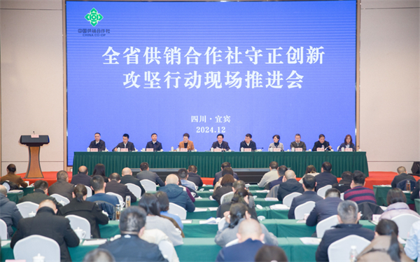 四川省供銷社“守正創新”攻堅行動現場推進會在宜賓市召開